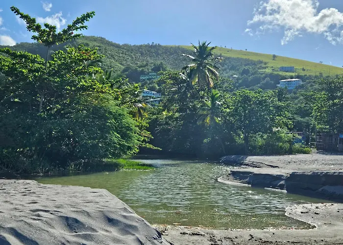 Dominica Seaside Beaches & Attractions Tour
